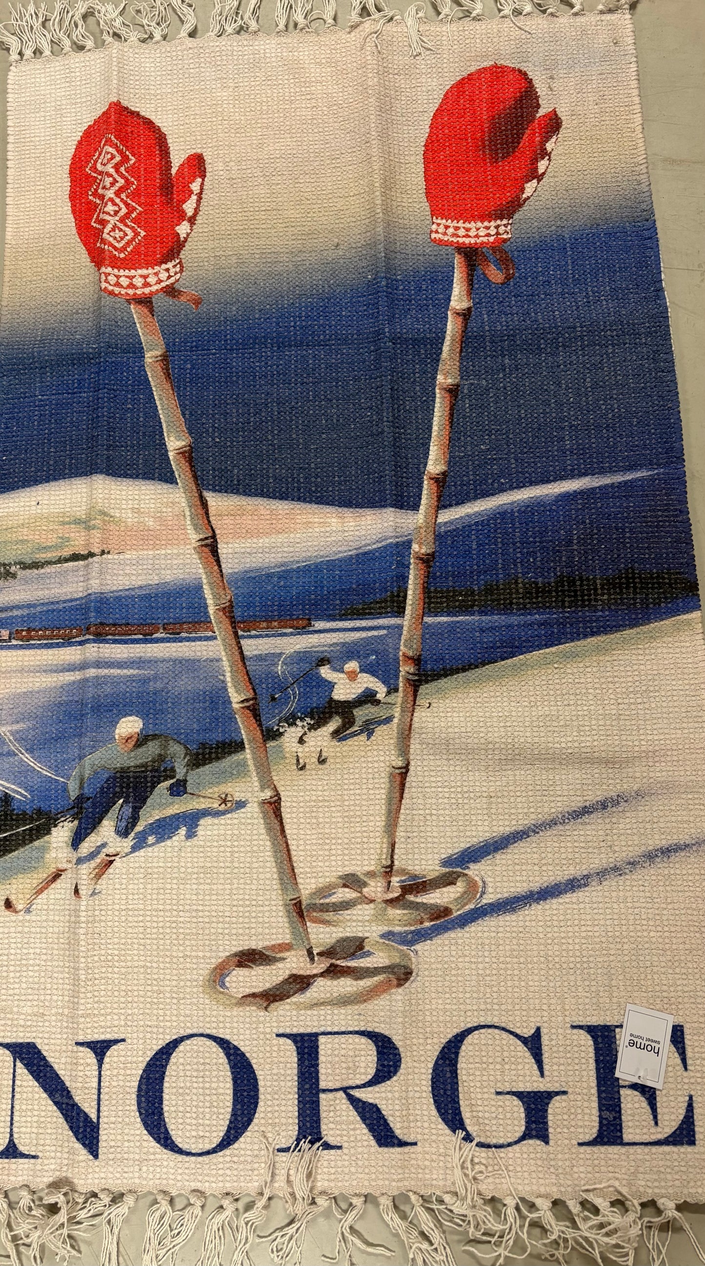 SKI VOTT